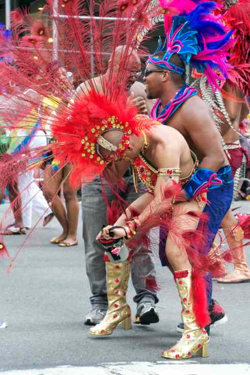 A shock of red feathers