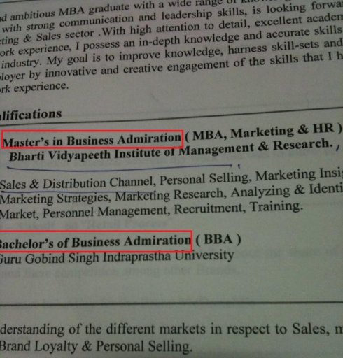 English Whirled Wide says: Vipul Jain from India sent this CV "that landed on my desk."