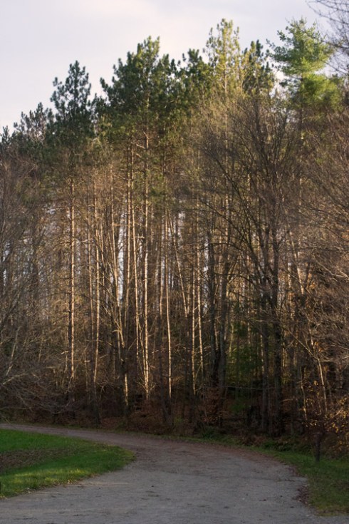 Walking back from the reservoir just before sunset